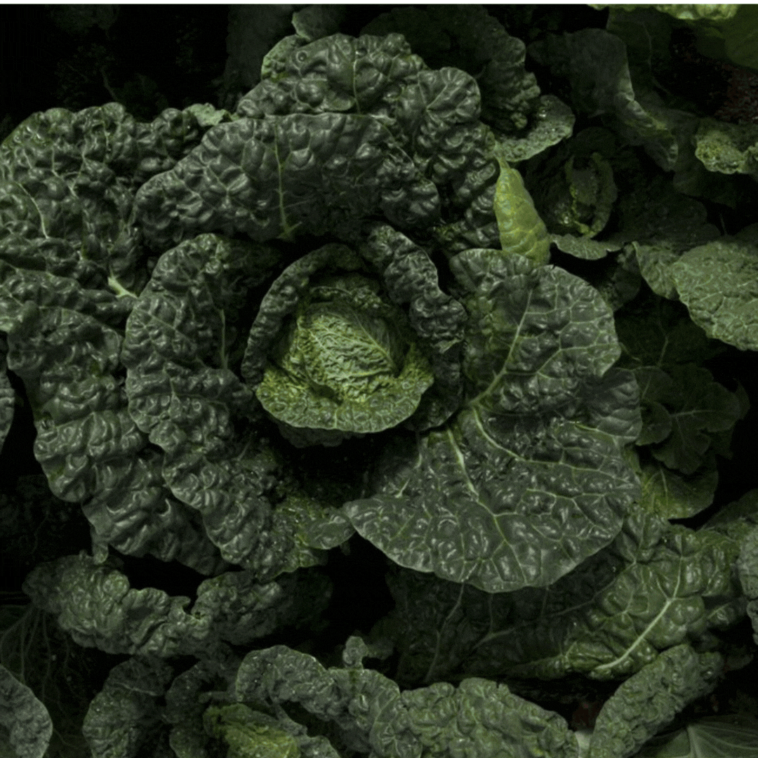 Benefit product image