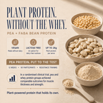 Purple Sweet Potato x10 Sachet Pack pea and faba bean plant protein benefits with up to 26g protein per serve