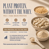 Purple Sweet Potato x10 Sachet Pack pea and faba bean plant protein benefits with up to 26g protein per serve